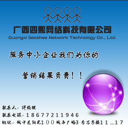 网络推广服务 数字化时代品牌腾飞的必由之路